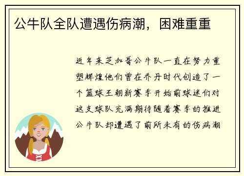 公牛队全队遭遇伤病潮，困难重重